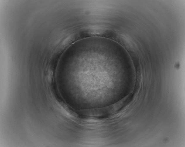 X0000091990227200709061425