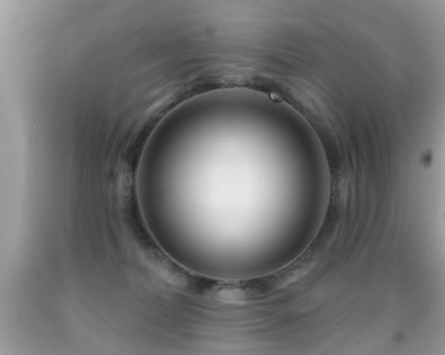 X0000091990228200709061425