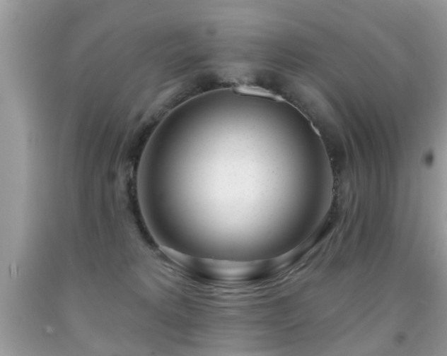 X0000091990229200709061425