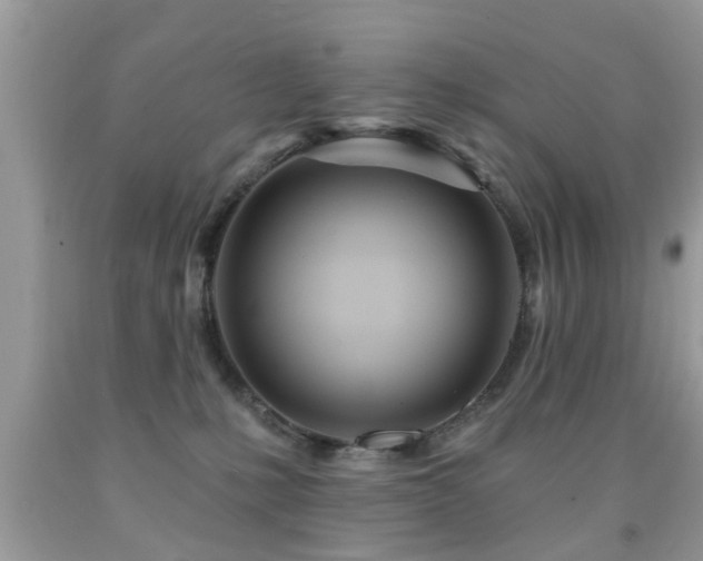 X0000091990231200709061425