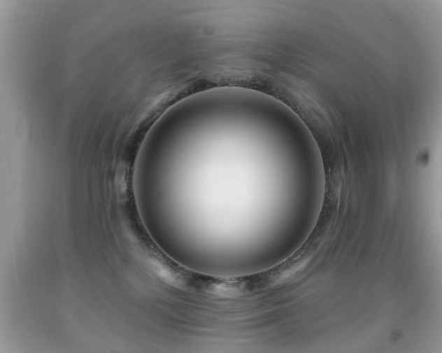 X0000091990232200709061425