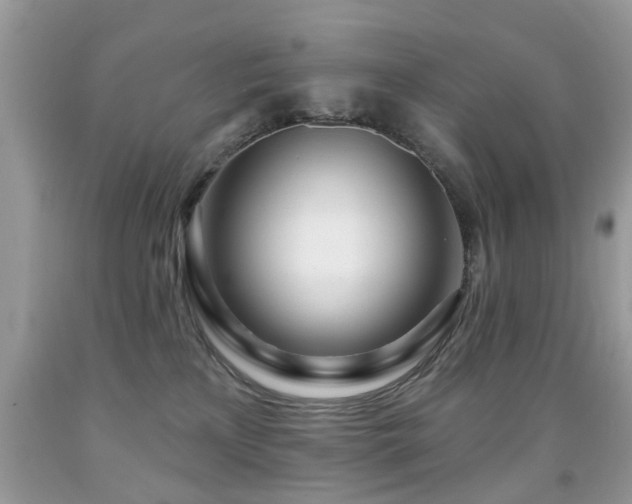 X0000091990233200709061424