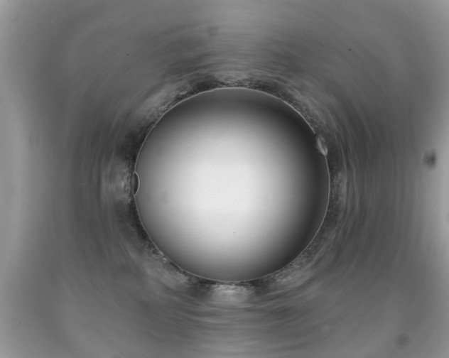 X0000091990234200709061424