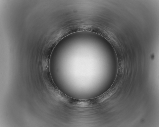X0000091990236200709061424