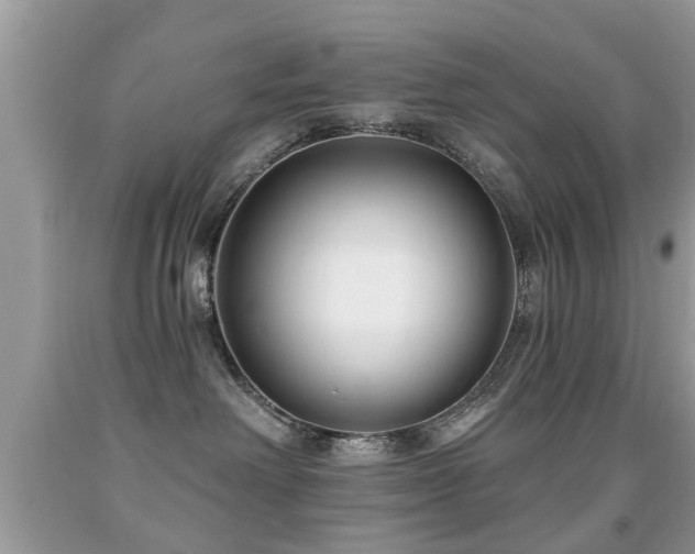 X0000091990238200709061424