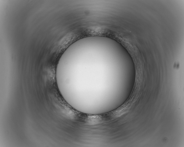 X0000091990240200709061424