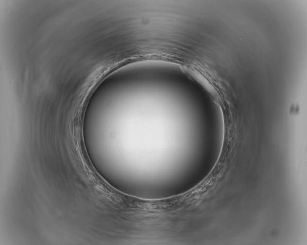 X0000091990241200709061424