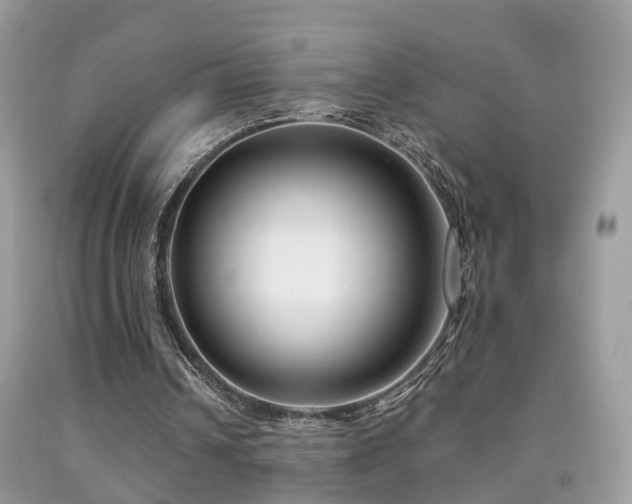 X0000091990242200709061424