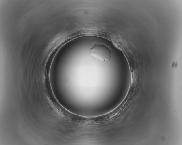 X0000091990243200709061424