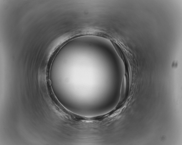 X0000091990244200709061424