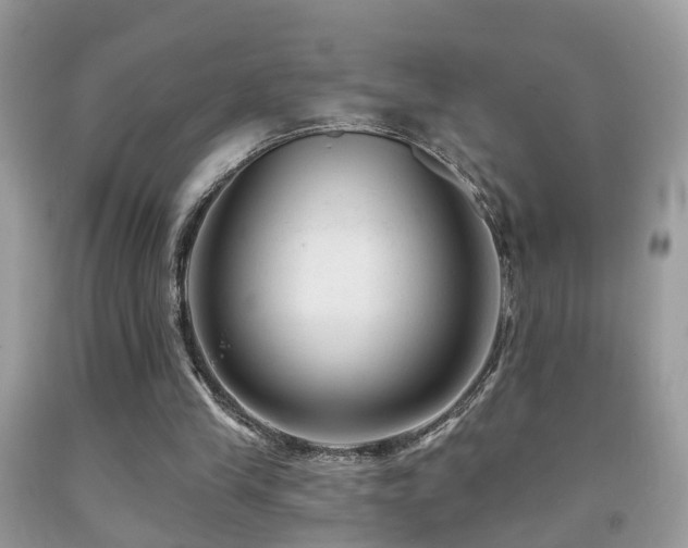 X0000091990245200709061424