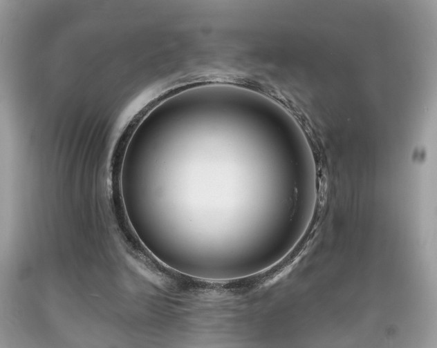 X0000091990246200709061424