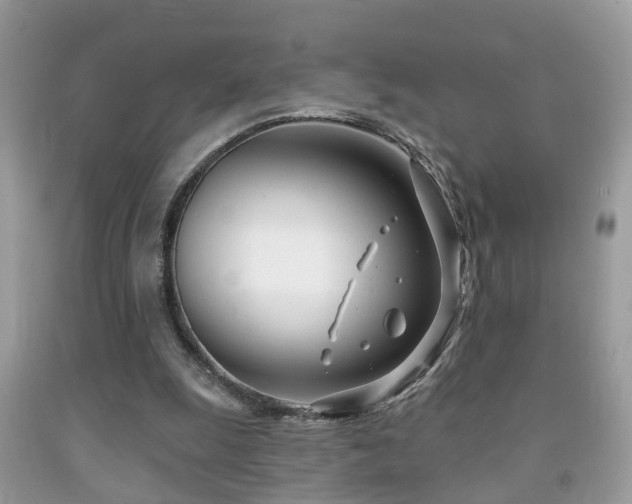 X0000091990247200709061424
