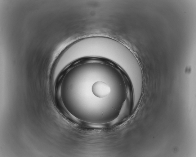 X0000091990248200709061424