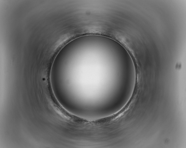 X0000091990249200709061424