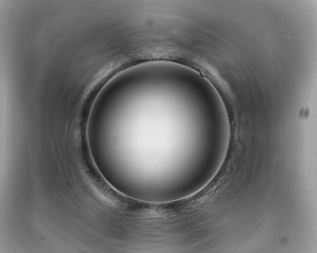 X0000091990250200709061424