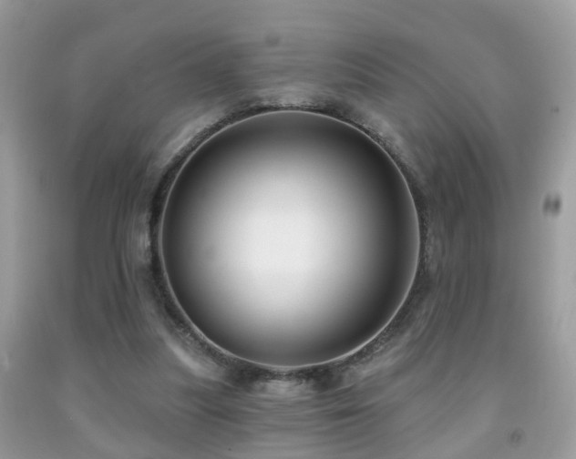 X0000091990251200709061424