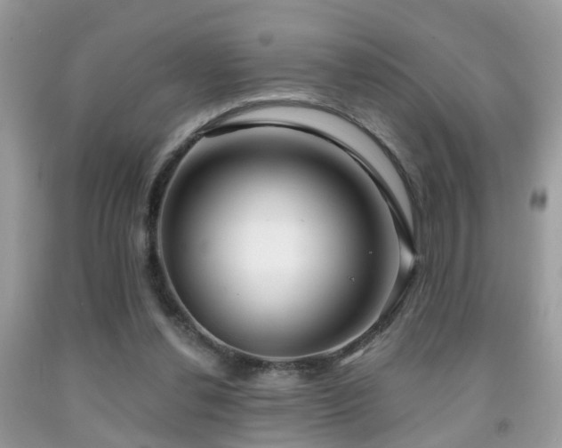 X0000091990252200709061424