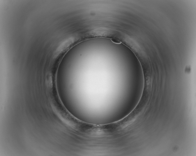 X0000091990254200709061424
