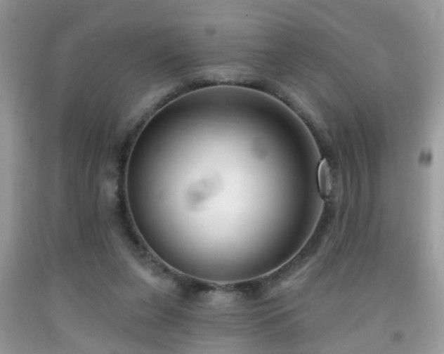 X0000091990255200709061424