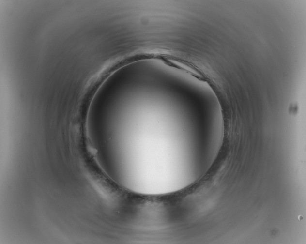 X0000091990256200709061424