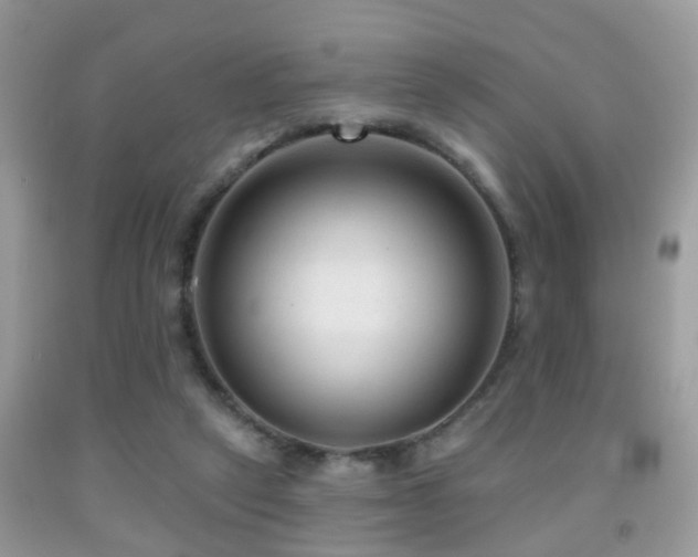 X0000091990257200709061424