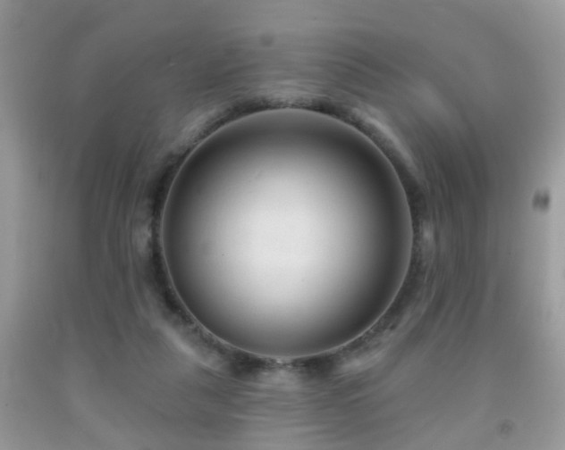 X0000091990259200709061424