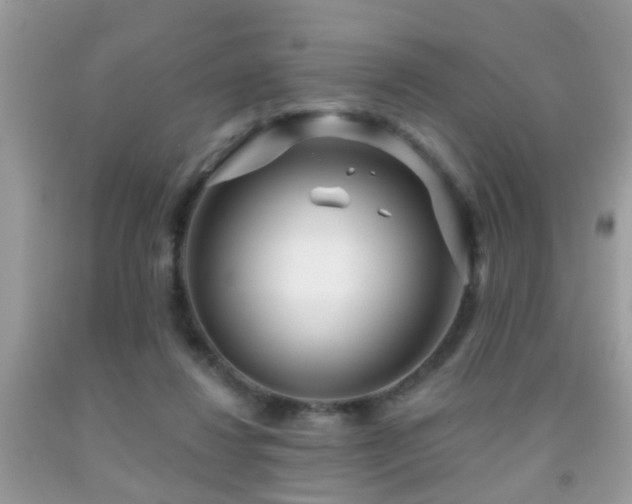 X0000091990260200709061424