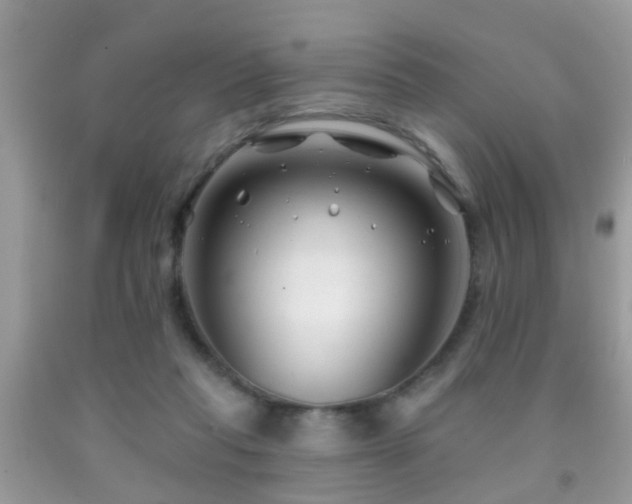 X0000091990261200709061424