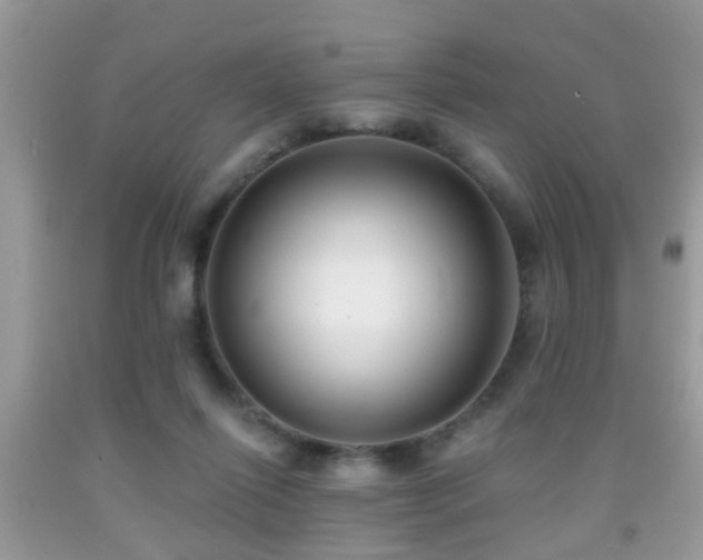 X0000091990262200709061424