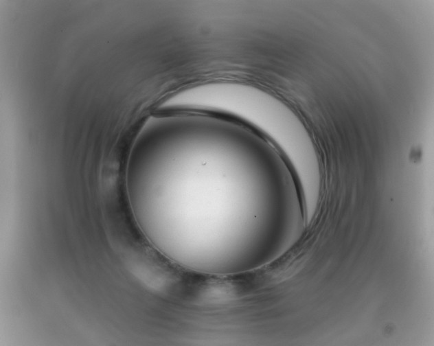 X0000091990263200709061424