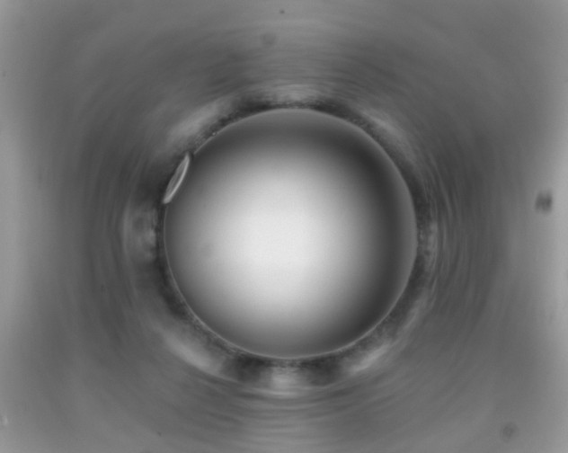 X0000091990264200709061424