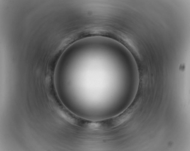 X0000091990265200709061424