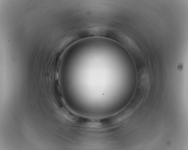 X0000091990266200709061424