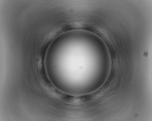 X0000091990267200709061424