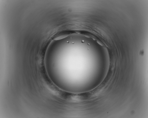 X0000091990268200709061424