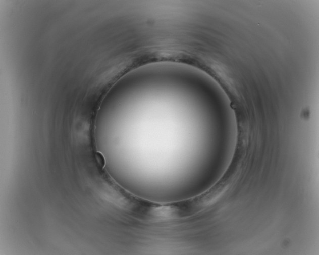 X0000091990269200709061424