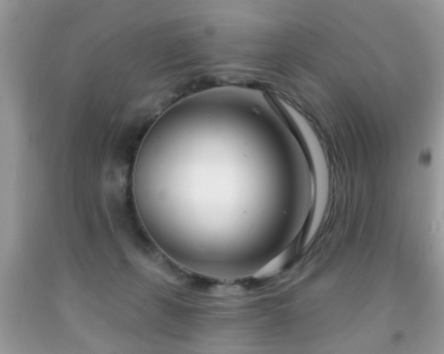 X0000091990271200709061424