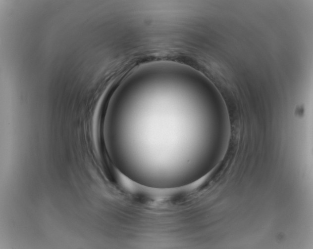 X0000091990272200709061424