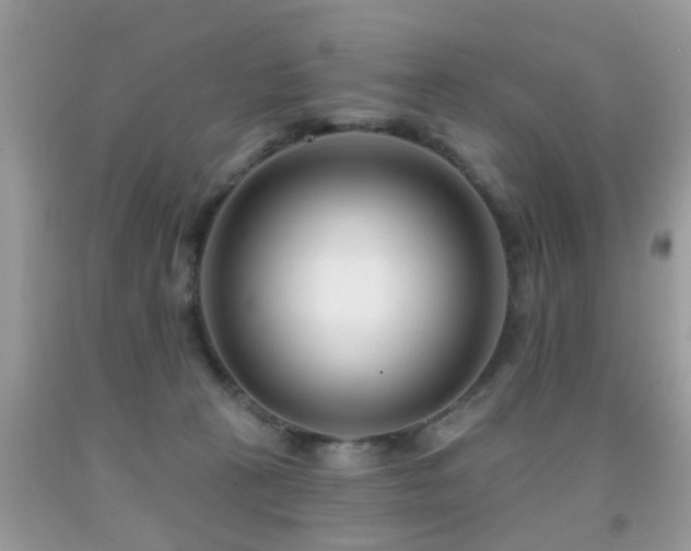 X0000091990273200709061424