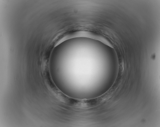X0000091990276200709061424