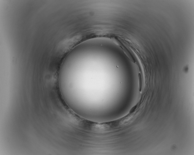X0000091990277200709061424