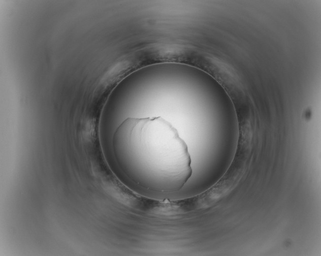 X0000091990278200709061424