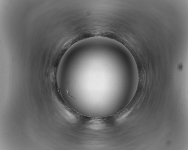 X0000091990280200709061424