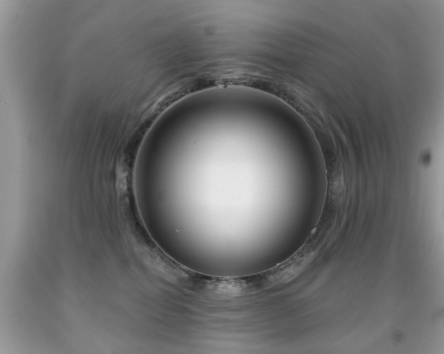 X0000091990282200709061424