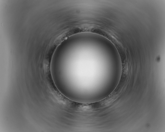 X0000091990283200709061424