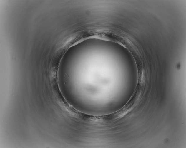 X0000091990284200709061424