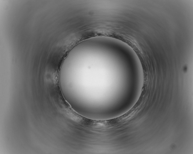 X0000091990285200709061424