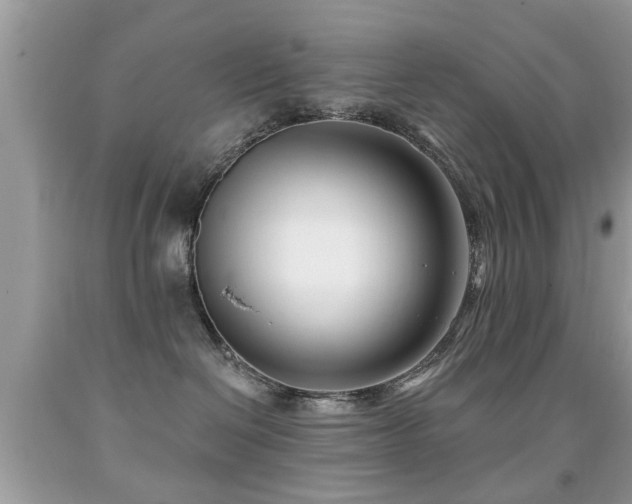 X0000091990286200709061424