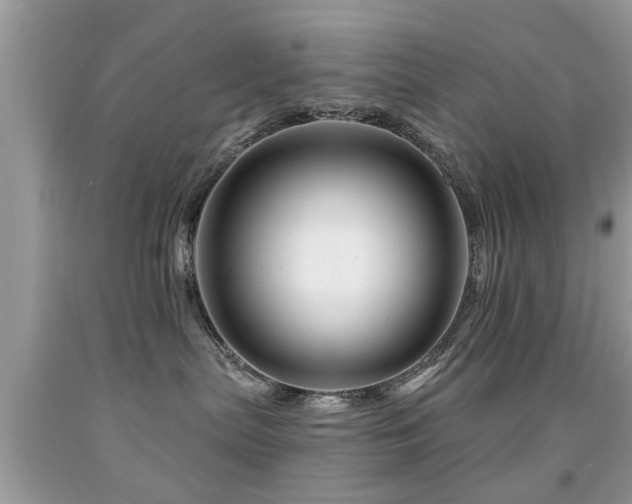 X0000091990287200709061424